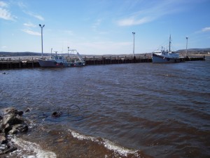 05_bay_of_fundy_high_tide